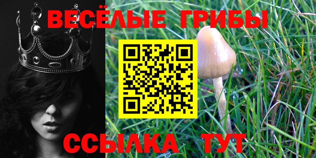 Курчалой  Псилоцибиновые грибы ЛСД  Вход с VPN  Галлюциногенные грибы мицелий 