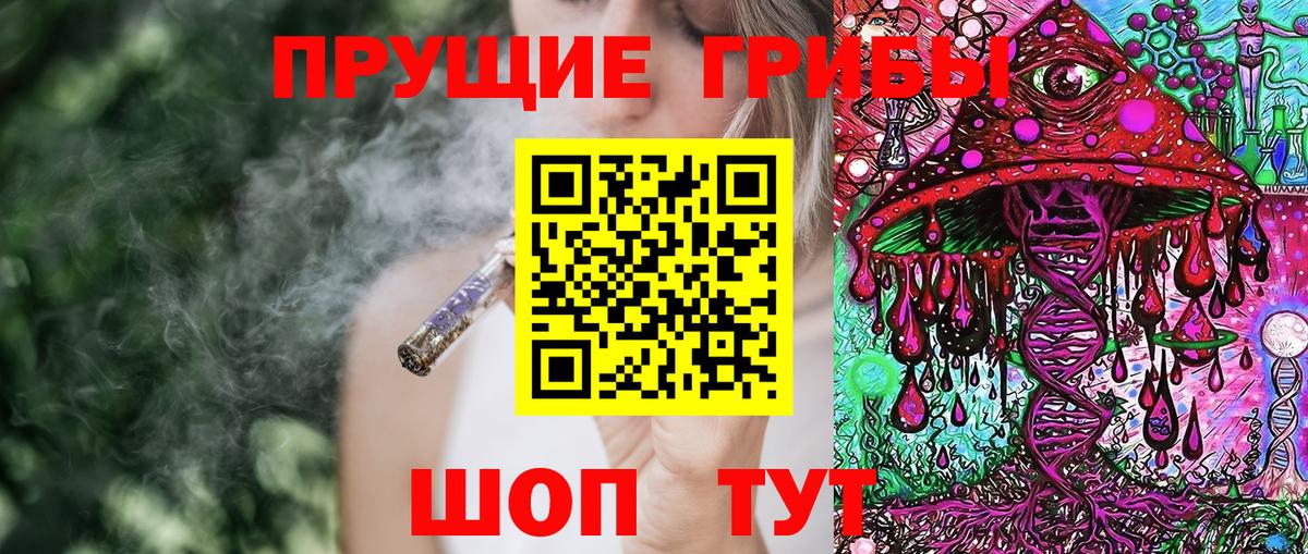 Псилоцибиновые грибы Cubensis Курчалой