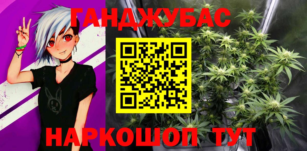Шишки марихуана VHQ  МАРИХУАНА семена  Вход с VPN  МАРИХУАНА ГИДРОПОН  Курчалой 